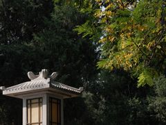 -大慈恩寺(大雁塔)