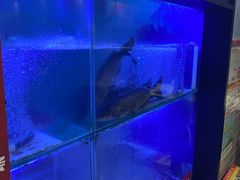 -鱼酷活鱼烤鱼(南京水游城店)