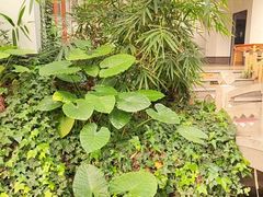 -忆江南·生态餐饮宴会酒店