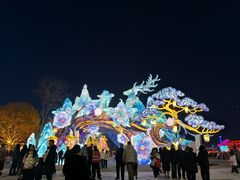 -淄博花灯齐彩城