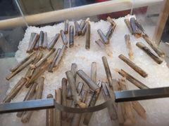-新发展亚太JW万豪酒店·福苑咖啡厅