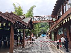 -野象谷景区