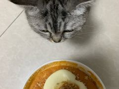 -盒马鲜生(顺义店)