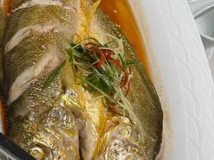 清蒸大黄鱼-老福洲(西洪路店)