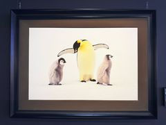 -罗红摄影艺术馆