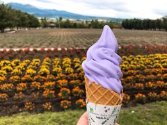 -富田农场
