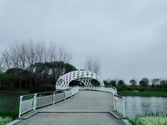 -同里国家湿地公园