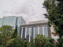 -九龙公园