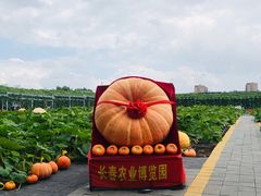 -长春农博园