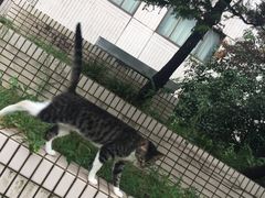 -复旦大学光华楼