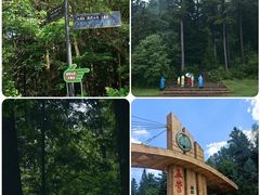 -五营国家森林公园