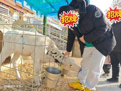 -君乐宝优致牧场