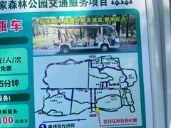 -东平国家森林公园