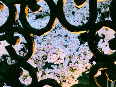 -杭州城北体育公园