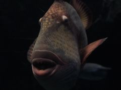 -珠海长隆海洋王国