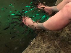 -宝丽金大酒店·洗浴中心