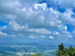 -阳台山森林公园