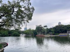 -荔湾湖公园