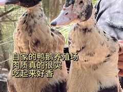 -坛南湾阿强农家乐.海鲜大排档老字号(福州地标美食店)