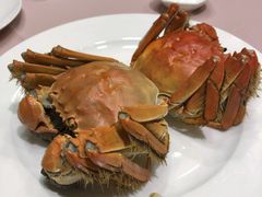 清蒸大闸蟹-王宝和酒家(黄浦店)