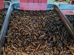 -昆虫窝子·特色云南菜(拓东路总店)