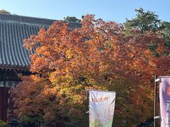 -香山公园