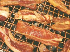 调味羊排-一品诚记烤肉(大连柏威年购物中心店)