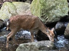 -昆明青龙峡风景区