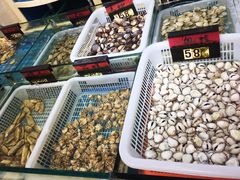 -闽鲜森霞浦海鲜城