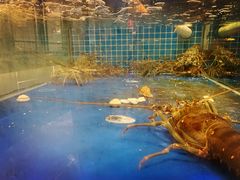 -宝园酒家(美林M·LIVE天地东座店)