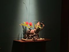 -觀芷隐轩