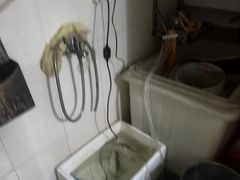 -长顺河豚馆(江洲东路)