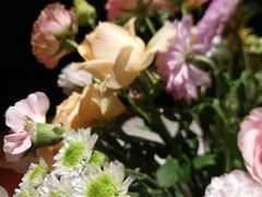 -滋色臻选川菜(北京坊旗舰店)