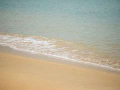 -玫瑰海岸文化旅游度假区