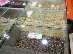 -刘艳明炒货(小心桥店)