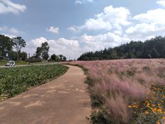 -云漫湖生态度假公园