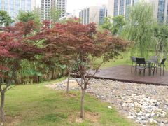 -中国银行江苏省分行培训中心