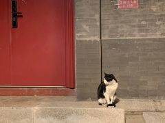 -东华门大街小区