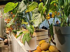 -懒人盐府人家(航天桥店)