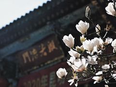 -昆明滇池国家级风景名胜区西山景区