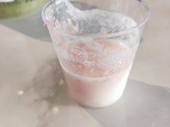 -野萃山·潮汕厚果汁(十亩地店)