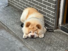 -西林禅寺