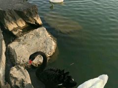 -上海怡沁园度假酒店
