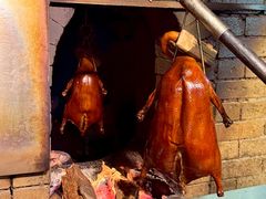 -丰收碗·陈皮果木烧鹅·23年老字号