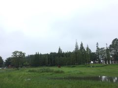-两河城市森林公园