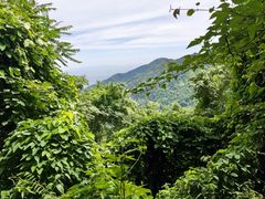 -秦岭终南山世界地质公园翠华山景区