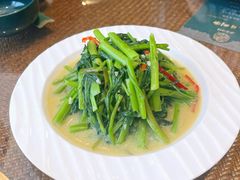 -老广酒楼(樱花店)