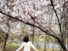 -贵阳市花溪国家城市湿地公园