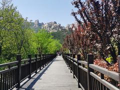 -崂山仰口游览区