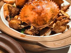 -阿露佳·舌尖上的安吉菜